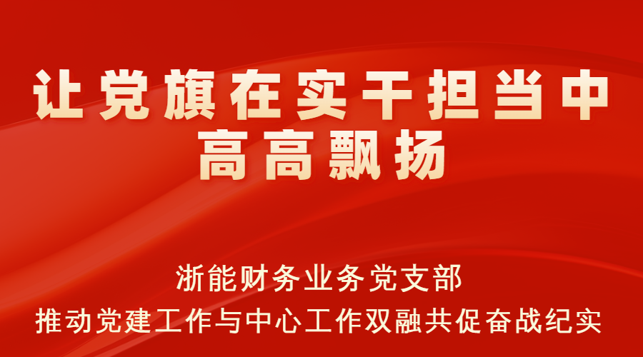 浙能财务业务党支部：让党旗在实干担当中高高飘扬